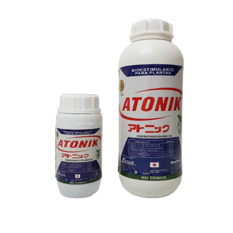 Diapositiva5