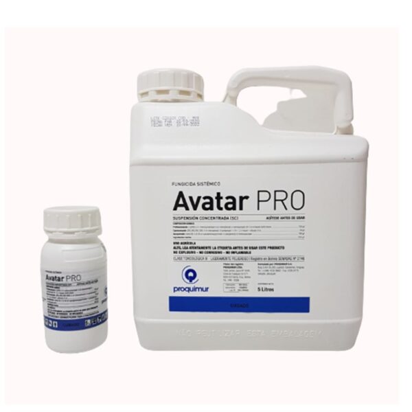 AVATAR PRO